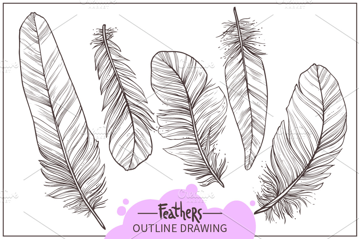 Feathers. Hand Drawn Collection, an Object Graphic by alexrockheart (Photo 2 of 5)