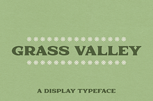 Grass Valley | Display Serif Font