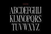 Barqey Modern Vague Editorial Font, a Serif Font by Rasio Studio (Thumbnail 2 of 7)