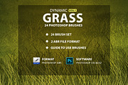 Grass Photoshop Brushes, a Brush Add-On by Mohamed Saber (Thumbnail 6 of 6)