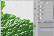 Fresh Herbs, an Object Graphic by Hortimages (Thumbnail 2 of 2)