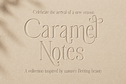 Megalme - Modern Serif Display Font, a Serif Font by Megatype (Thumbnail 12 of 17)