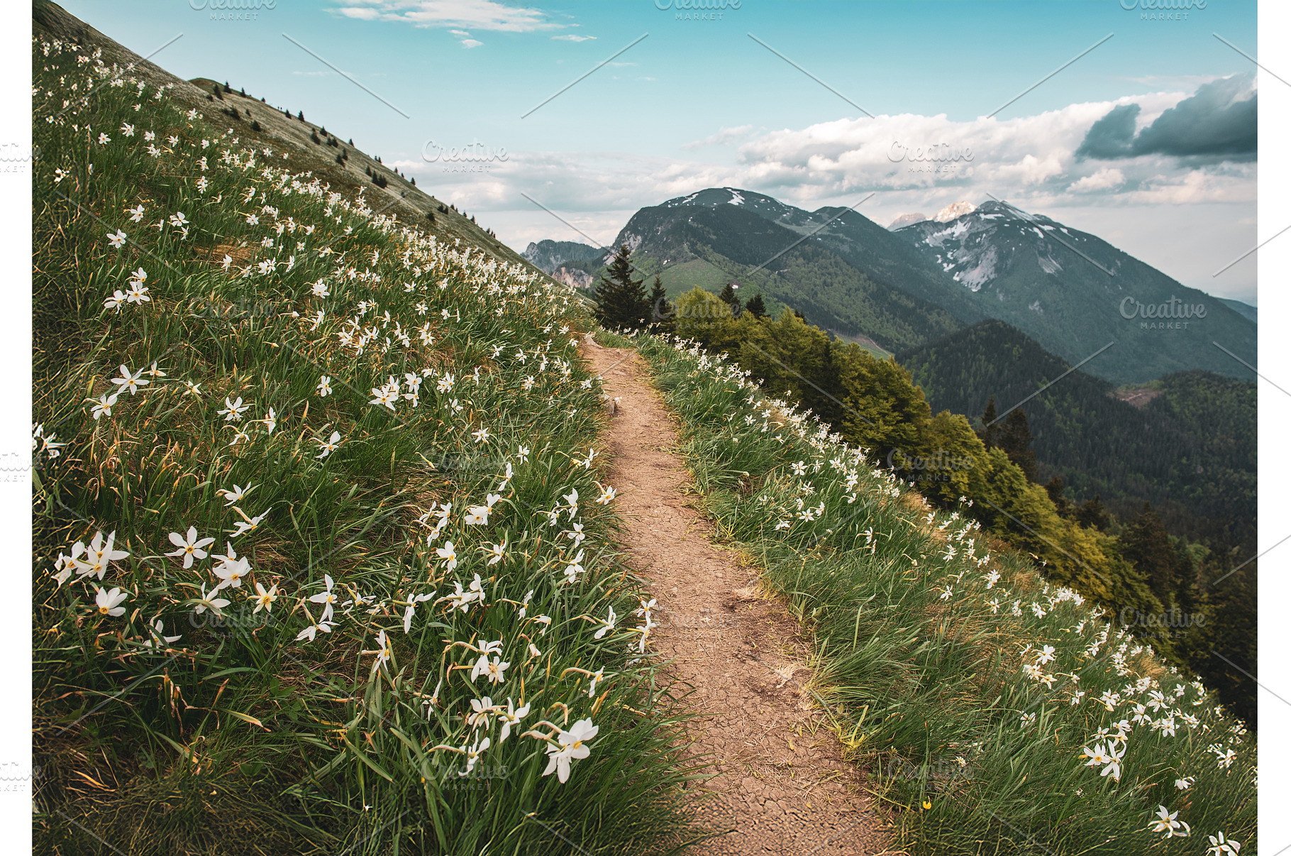 Beautiful mountain landscape with, a Nature Photo by Nature and travel