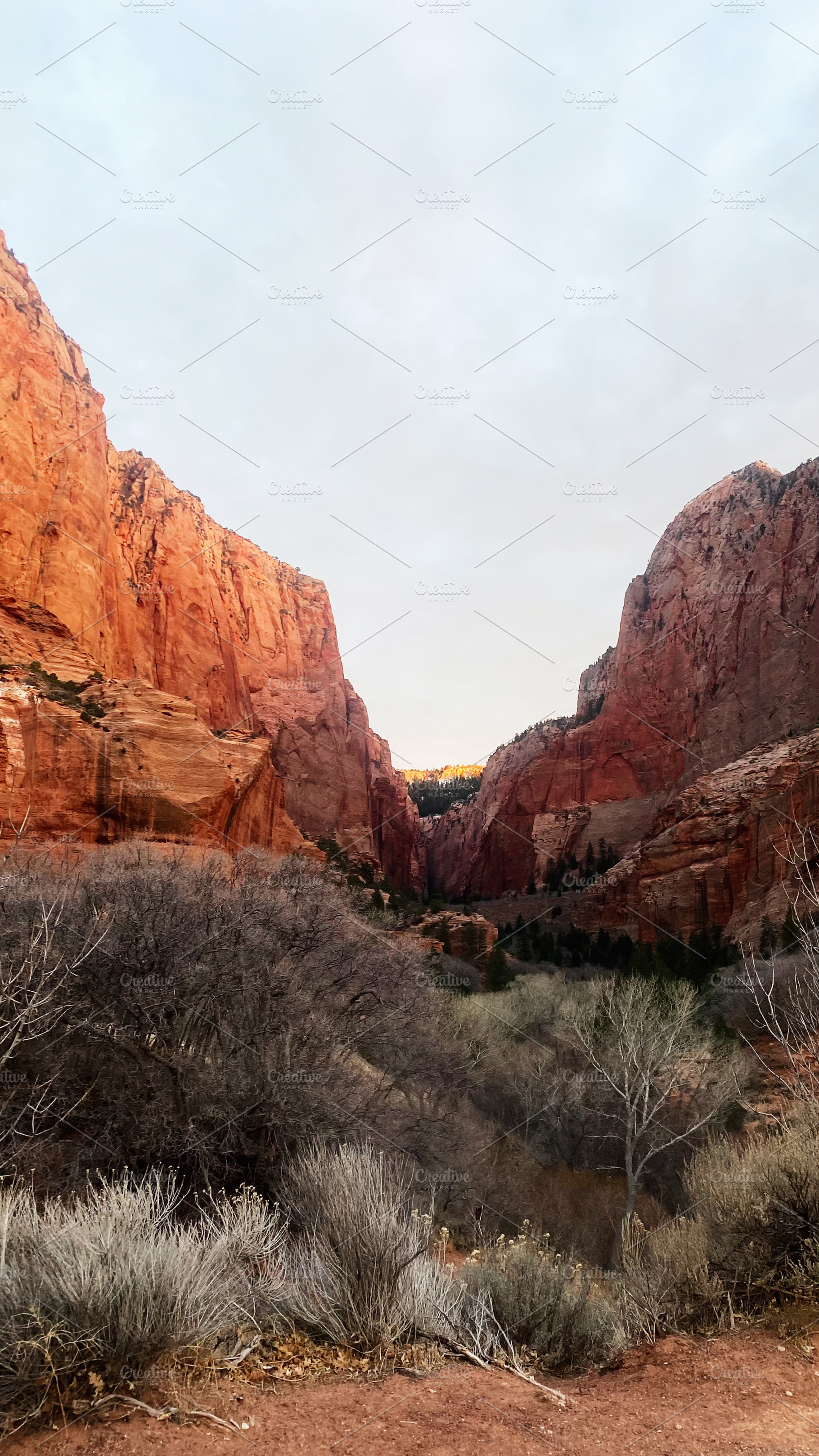 Red rock canyon in Utah USA with dramatic cliffs and desert valley at dusk, a Nature Photo by AS photostudio