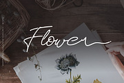 Rosa Signature typeface, a Script Font by WAP (Thumbnail 2 of 6)