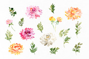 Fall Watercolor Chrysanthemums, a Decorative Illustration by GraphicsDish (Thumbnail 2 of 3)