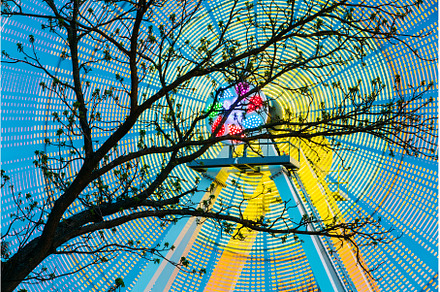Tree Branches Against Backdrop Of, a Nature Photo by Our Amazing World