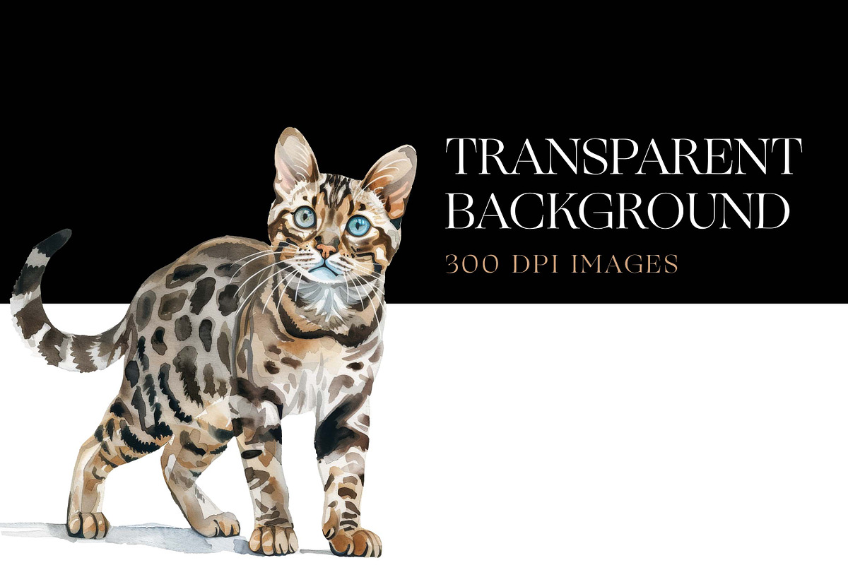 Cute Bengal Cat Clipart, Cute Cats, an Animal Illustration by BrushstrokeArtGB (Photo 7 of 10)