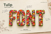 Tulip Font, a Serif Font by Handmadefont (Thumbnail 15 of 15)