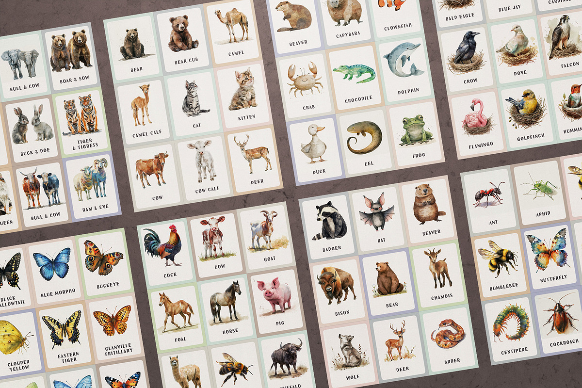 Animals Montessori Cards Bundle, an Education Illustration by Pix Cafe (Photo 4 of 12)
