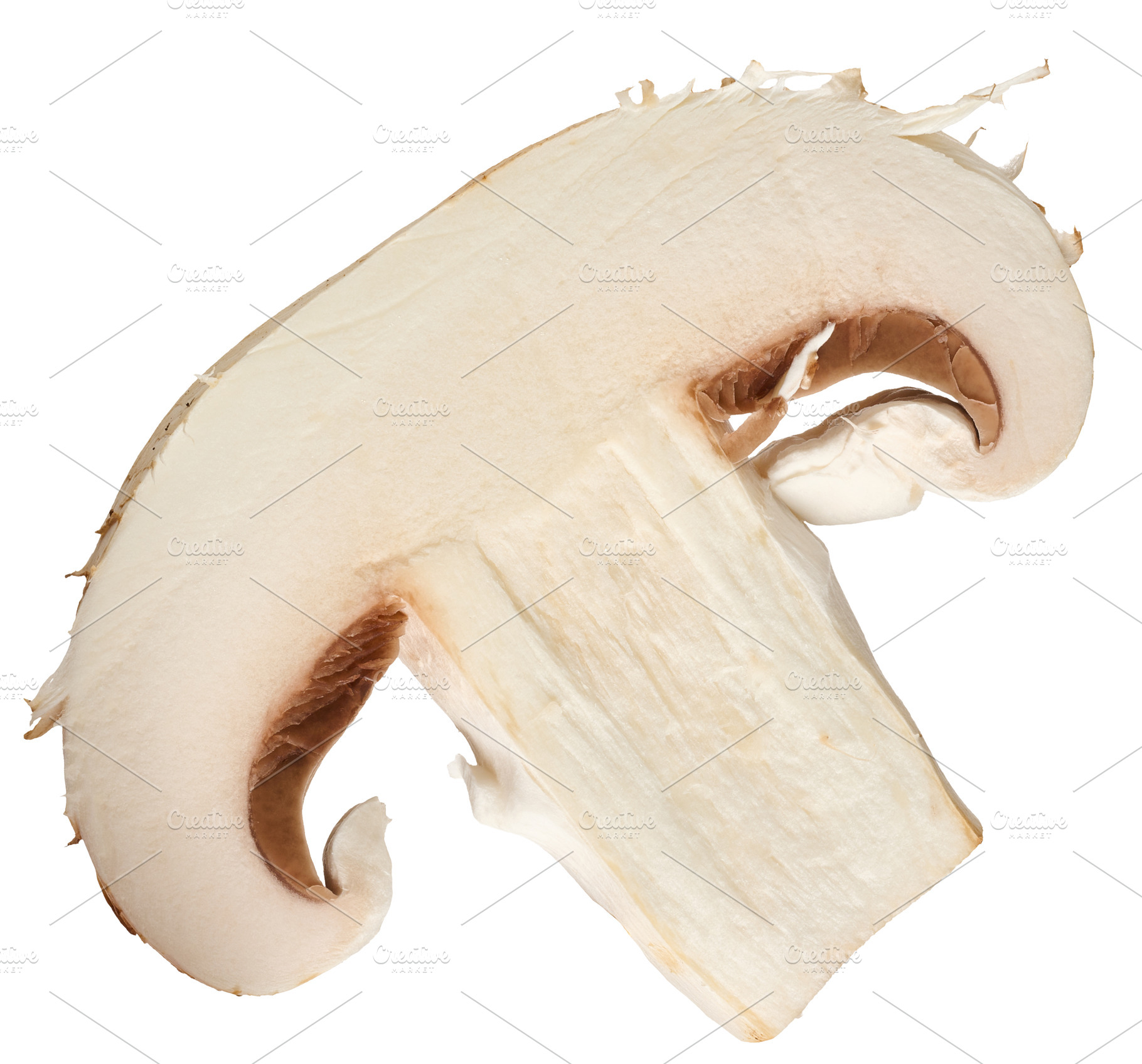 Slice of raw white champignon on isolated background, a Food & Drink Photo by ndanko