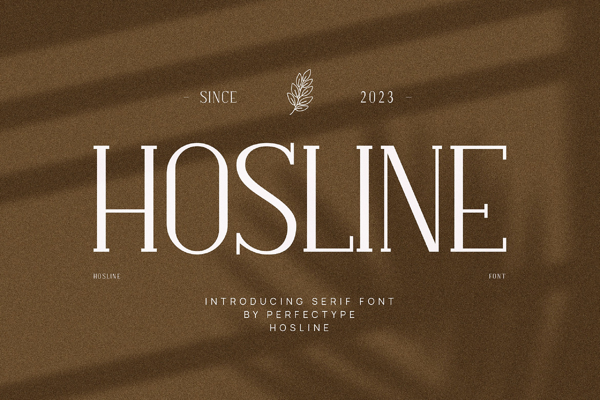 Hosline Modern Serif Font, a Serif Font by Perfectype (Photo 1 of 10)