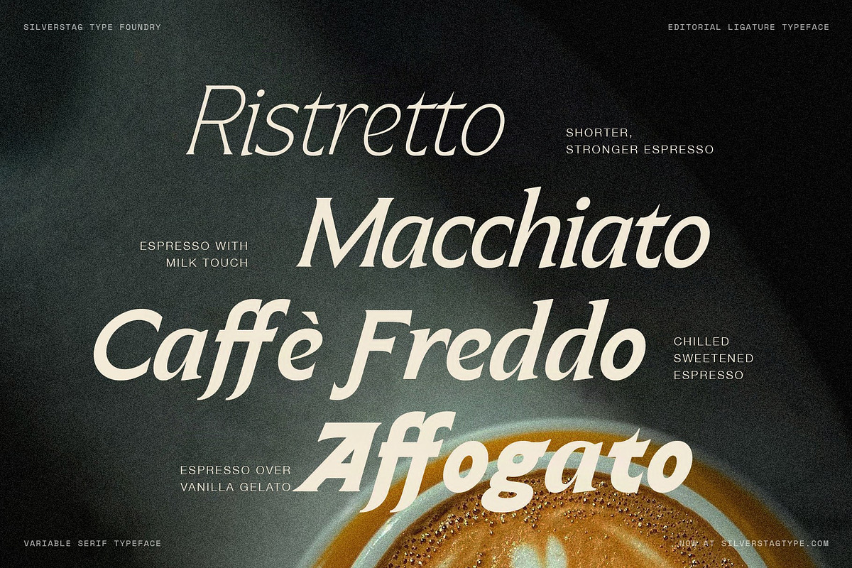 Arcilla — Variable Editorial Serif, a Serif Font by SilverStag Type Foundry (Photo 8 of 31)