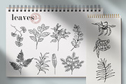 Flowers Line Hand Drawn, a Decorative Illustration by LanaDzi (Thumbnail 7 of 10)