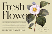 Mesko Ligature Serif Font, a Serif Font by Perfectype (Thumbnail 6 of 8)