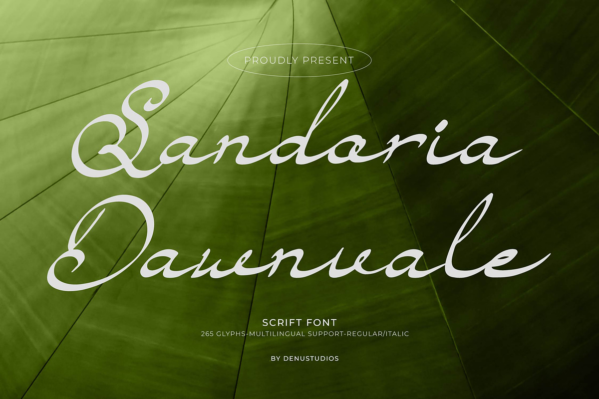 Sandoria Dawnvale Script Font, a Script Font by Denustudios (Photo 1 of 13)