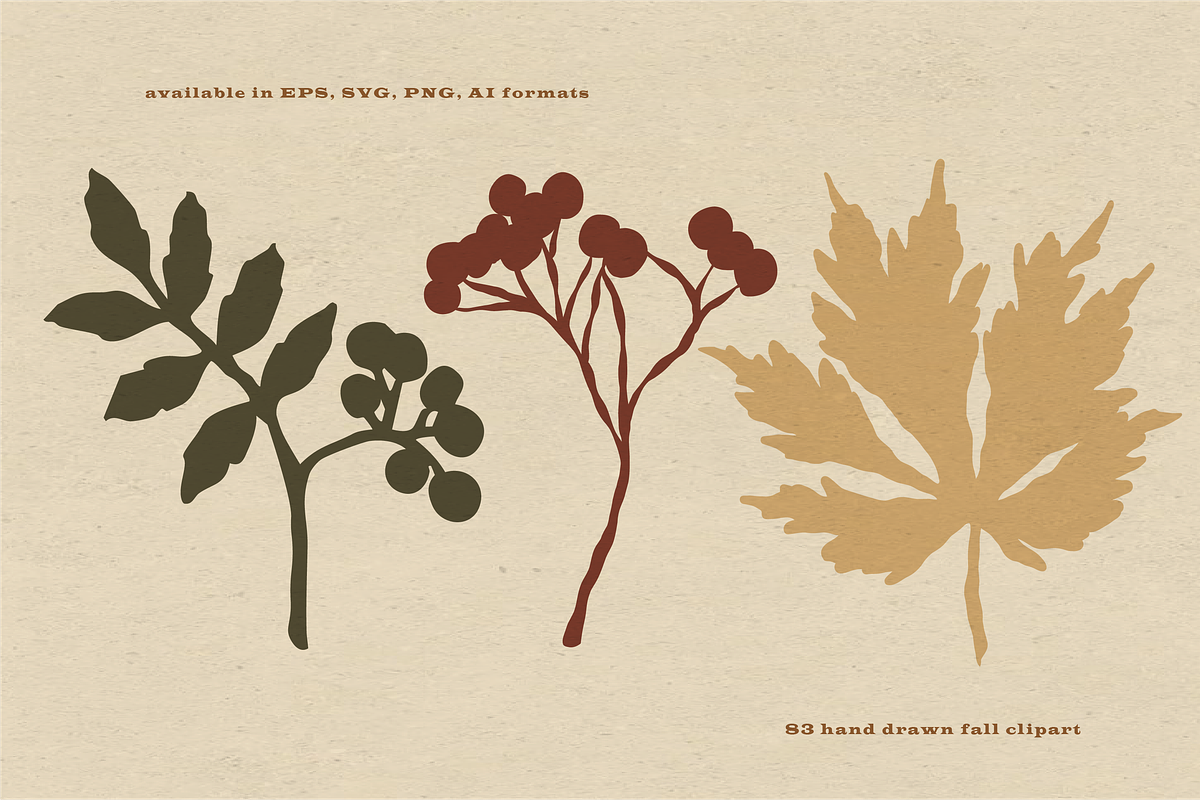 Autumn Botanicals Clipart, a Seasonal Illustration by RaDavCrafts (Photo 2 of 12)