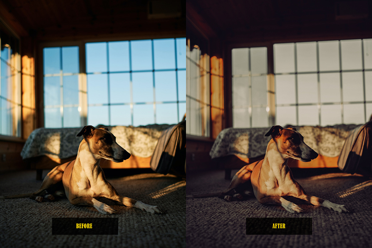 Analog Film Lightroom Presets, an Action Add-On by Lavinsky Art Store (Photo 10 of 12)
