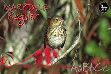 Marydale Regular