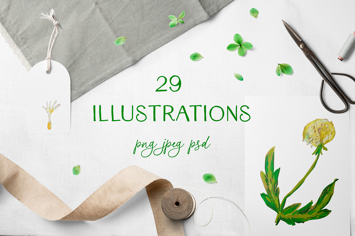 Cute Crayon Child Dandelion Flower, a Healthcare Illustration by Lucyinyourheart (Photo 1 of 6)