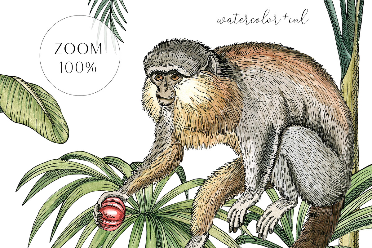 Monkeys and palms, a Pattern Graphic by Anyuka (Photo 12 of 12)