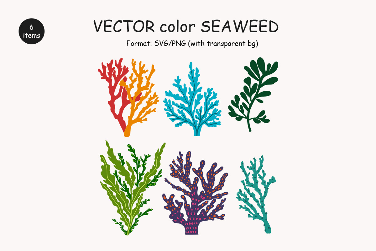 Algae & Coral Vector + Watercolor, an Object Illustration by IrenKlm (Photo 3 of 4)