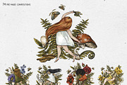 Birth Flowers & Birthstone Clipart, an Illustration by Belusuab (Thumbnail 8 of 16)