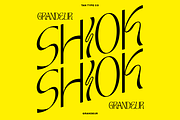 TAN - GRANDEUR, a Sans Serif Font by TanType (Thumbnail 4 of 25)