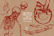 Skulls - Sketch 2 The Bone, an Illustration by Andrea Tardivo (Thumbnail 2 of 4)