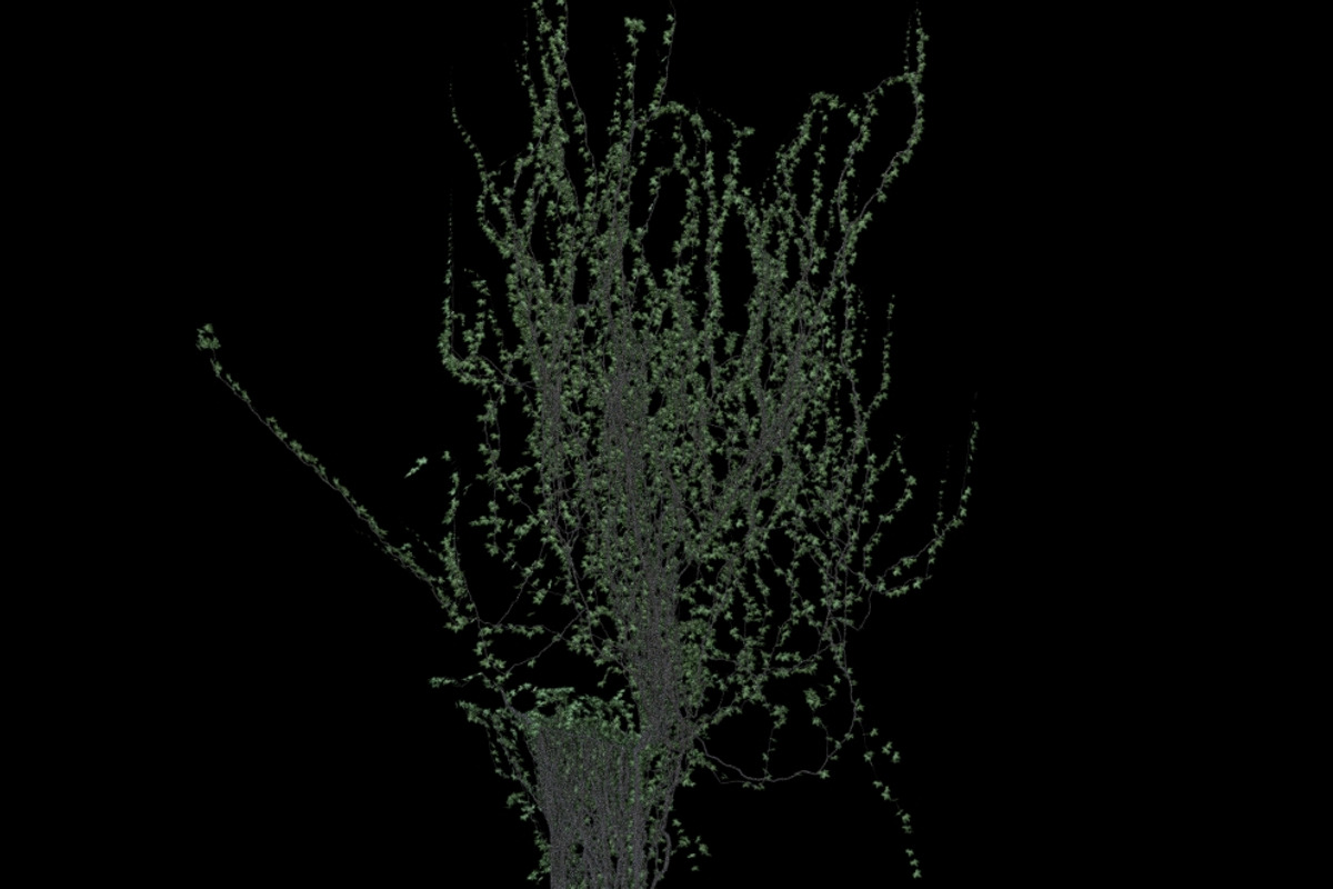 pack Nature, an Object Graphic by FlyOk (Photo 5 of 9)
