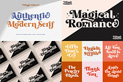 The Premium Creation Font Bundle, a Serif Font by Megatype (Thumbnail 6 of 56)