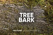30 Tree Bark Textures HQ, a Texture Graphic by CCPreset (Thumbnail 1 of 2)