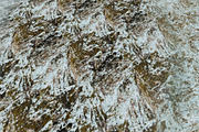 AUTUMN AND WINTER TEXTURE PACK, a Textures & Material 3D Model by Beatheart Creative Studio (Thumbnail 30 of 58)