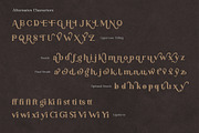 Ambigue Wild Modern x Vintage Serif, a Serif Font by Wandery Supply (Thumbnail 21 of 22)