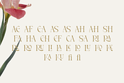 Hakuna – Elegant Serif Font, a Serif Font by Pen Culture (Thumbnail 8 of 9)