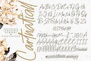 Cartnatiall - A Handwritten Font, a Handwritten Font by overlaytemplates (Thumbnail 4 of 5)