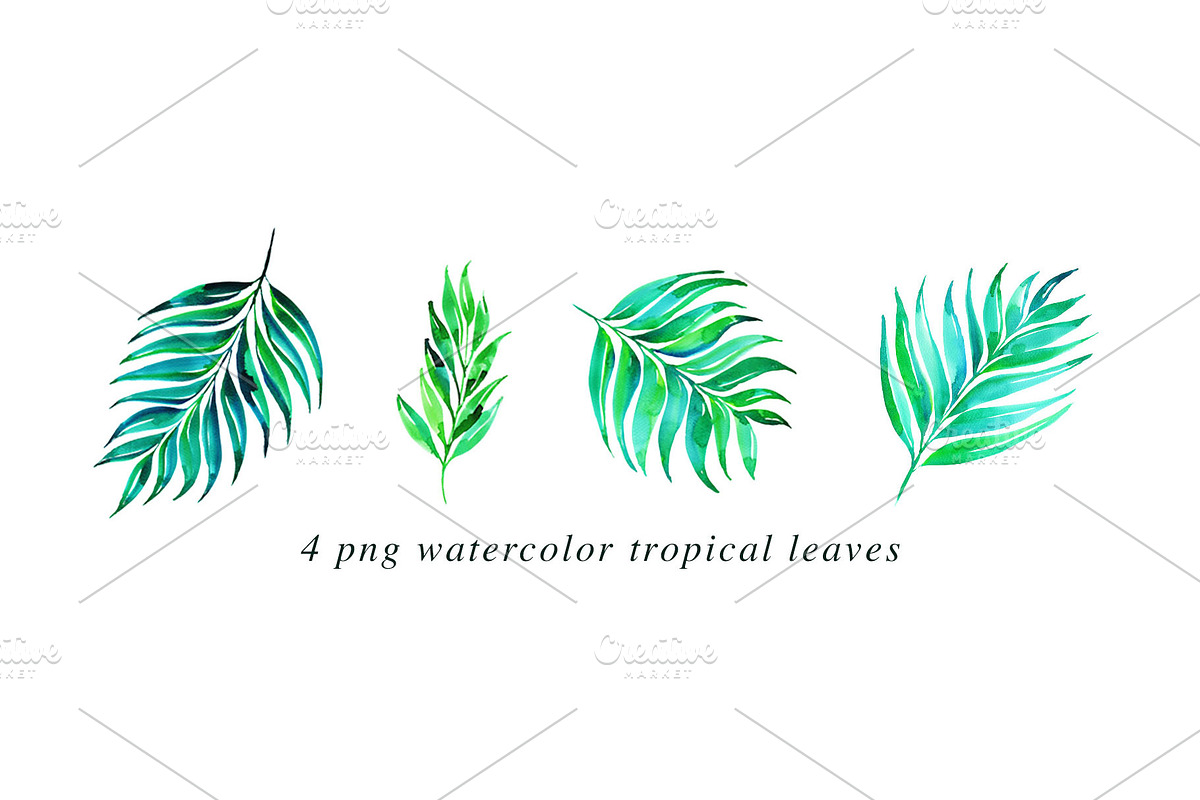 22 Tropical Watercolor Illustrations, an Illustration by Heartmade by Claudia (Photo 4 of 4)