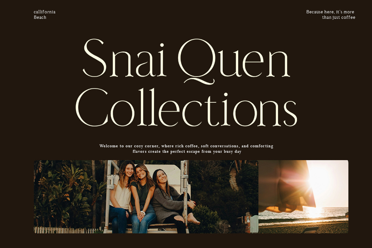 Nailong Lifemore, a Serif Font by AnayaStudio (Photo 6 of 10)