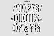 TAN - EGRET, a Serif Font by TanType (Thumbnail 12 of 19)