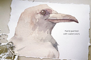 ENCHANTED, an Education Illustration by Eisfrei (Thumbnail 12 of 13)