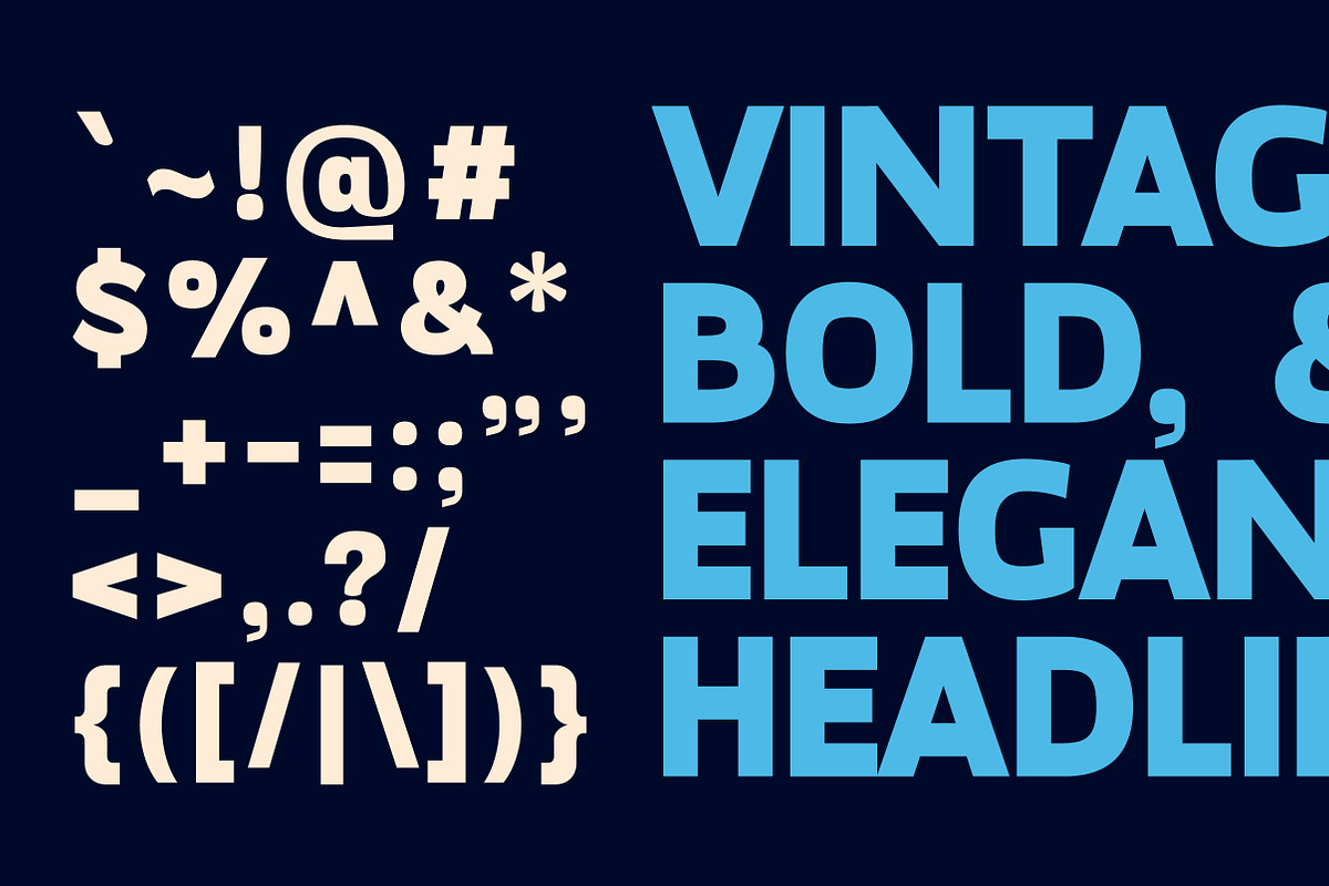 Megazine Poster Bold Vintage Display, a Sans Serif Font by Lettertype Studio (Photo 12 of 12)