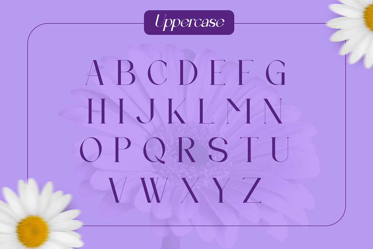 Eclime, a Serif Font by Rishsketch (Photo 7 of 12)