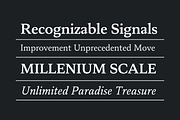Artikan: 12 Text Serif Fonts, a Serif Font by Eko Bimantara (Thumbnail 11 of 18)
