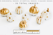 Fall Pumpkin Stock Image Bundle, a Holiday Photo by Studio Chic Designs (Thumbnail 2 of 4)