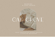 Wild Rye Hand Lettered Display Font, a Serif Font by Laras Wonderland (Thumbnail 2 of 15)
