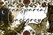 Whimsical Enchanted Forest Clipart, a Decorative Illustration by BigCakeBee (Thumbnail 2 of 3)