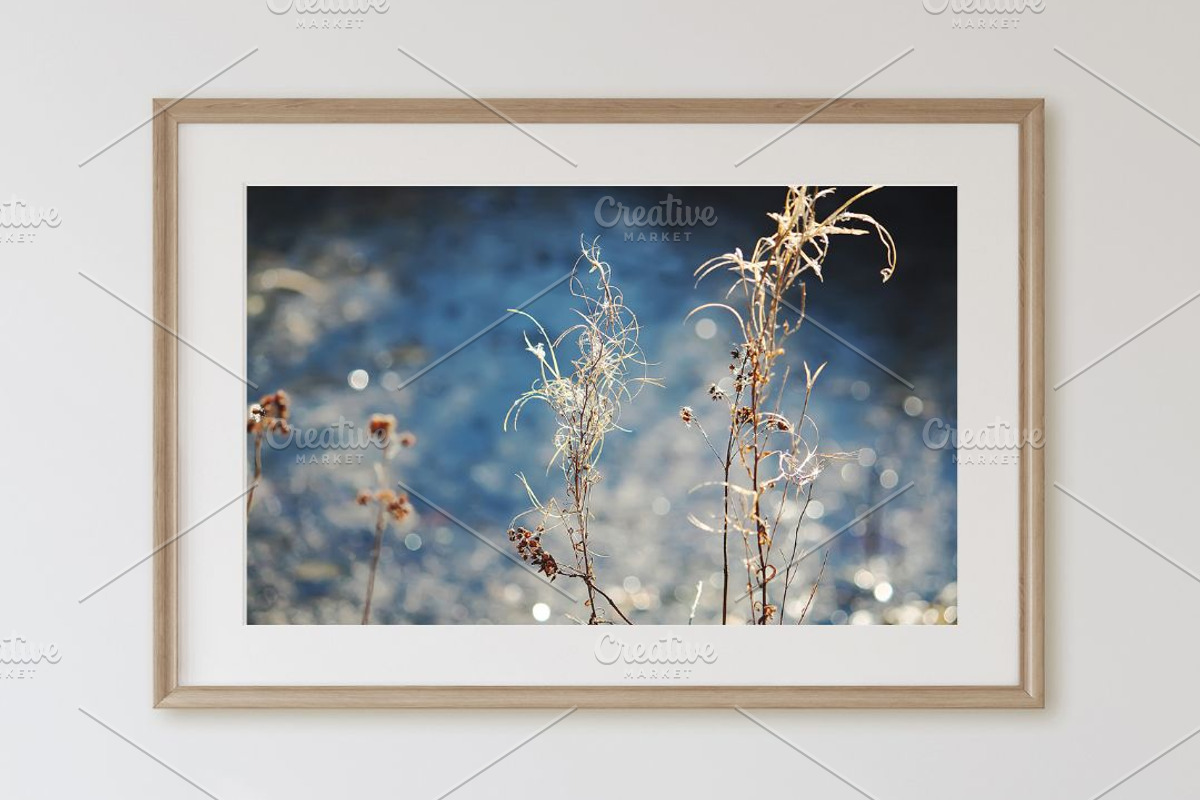 Autumn nature photography set, a Nature Photo by pictures for you (Photo 22 of 22)