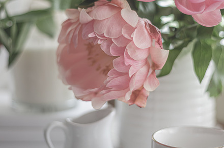 Peonies and Afternoon Tea