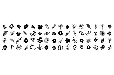 Set of graphic floral elements, hand, an Object Illustration by Nenahliadava Design