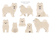 Chow chow (longhaired) clipart, an Animal Illustration by pet design shop (Thumbnail 7 of 9)